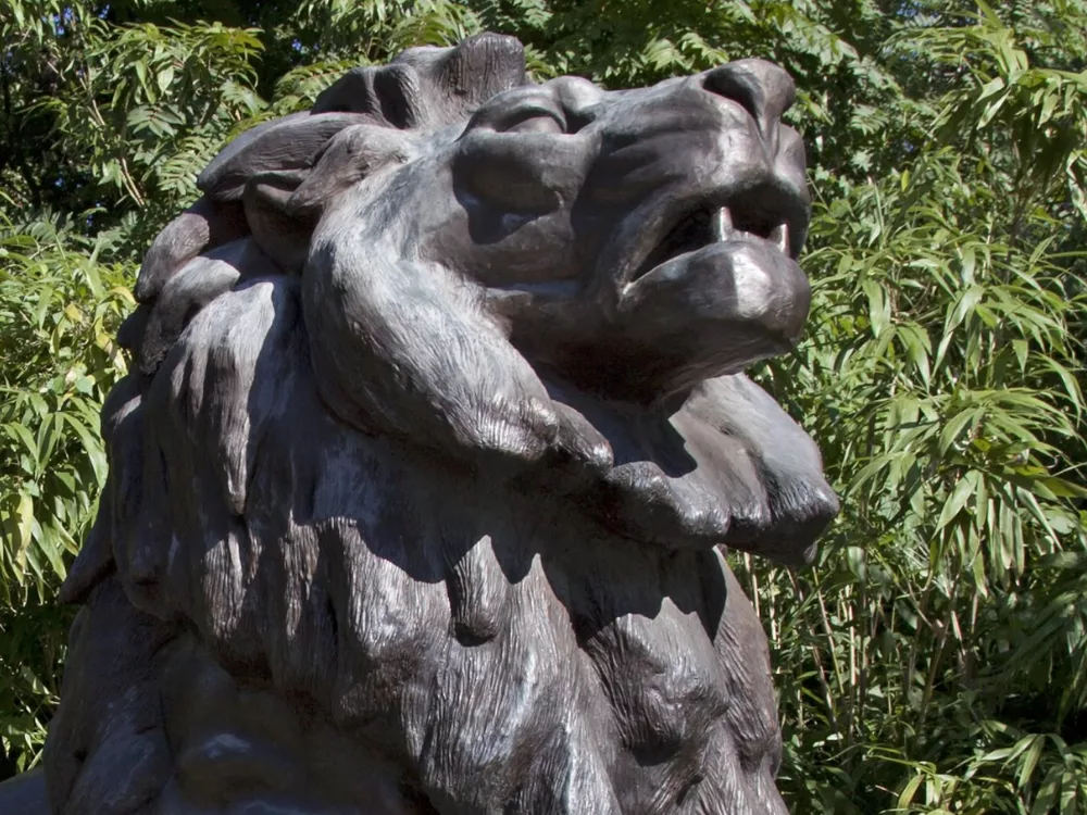 The statue of the lion in the Smithsonian gardens, another famous DC landmark to symbolize the service Wise &Partners gives non-profits and value-driven organizations & associations.